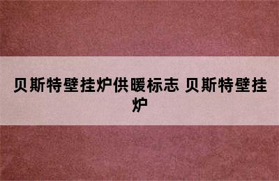 贝斯特壁挂炉供暖标志 贝斯特壁挂炉